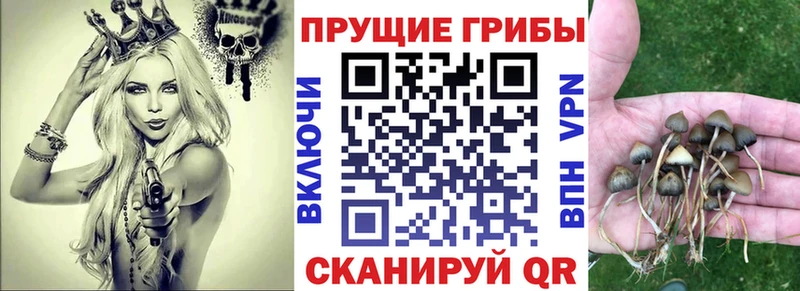 Галлюциногенные грибы ЛСД  omg tor  Белёв 